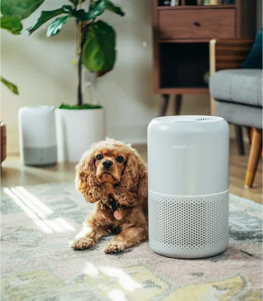 Máy lọc không khí Levoit Core P350 | ⓿❽❻❽❺⓿❺⓿❺❺ | khuetu.vn