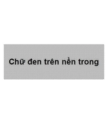 DK-22113, 62mm x 15.24m, nhãn liên tục, nhãn film chống nước | ⓿❽❻❽❺⓿❺⓿❺❺ | Nhãn in, tem in, giấy in, băng nhãn, tape in | kh...