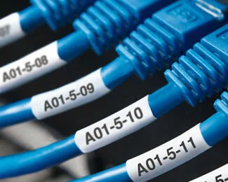 network-555.jpg