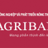 Ngân hàng Agribank đã triển khai giải pháp giám sát như thế nào?